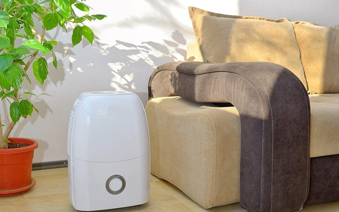 4 Tips to Allergy-Proof Your Home