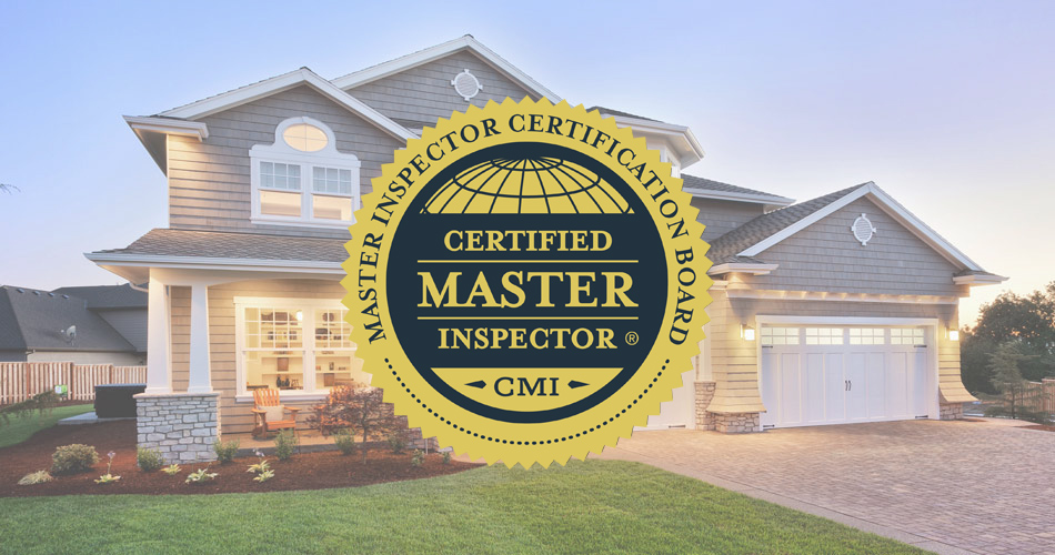 trioimg2 copy Internachi Certified Professional Inspector