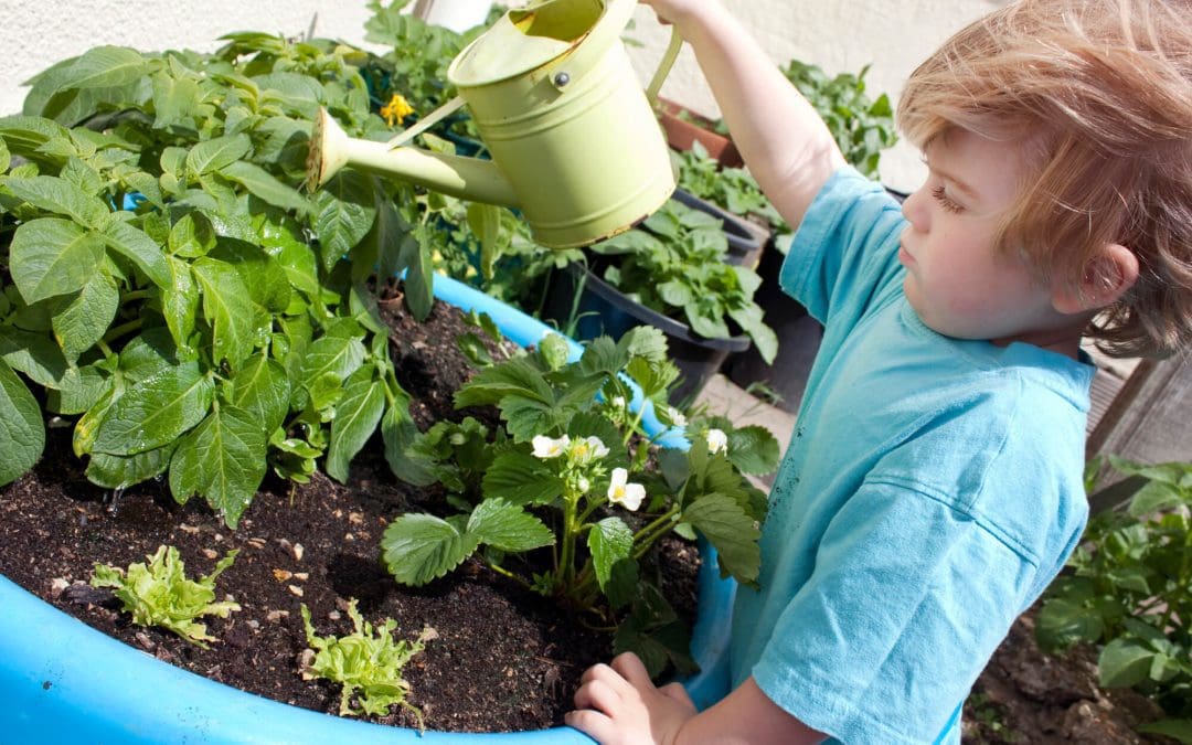 5 Tips for Gardening with Kids