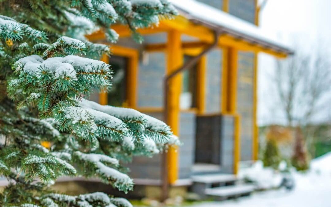 Homeowners Guide to Winter Safety