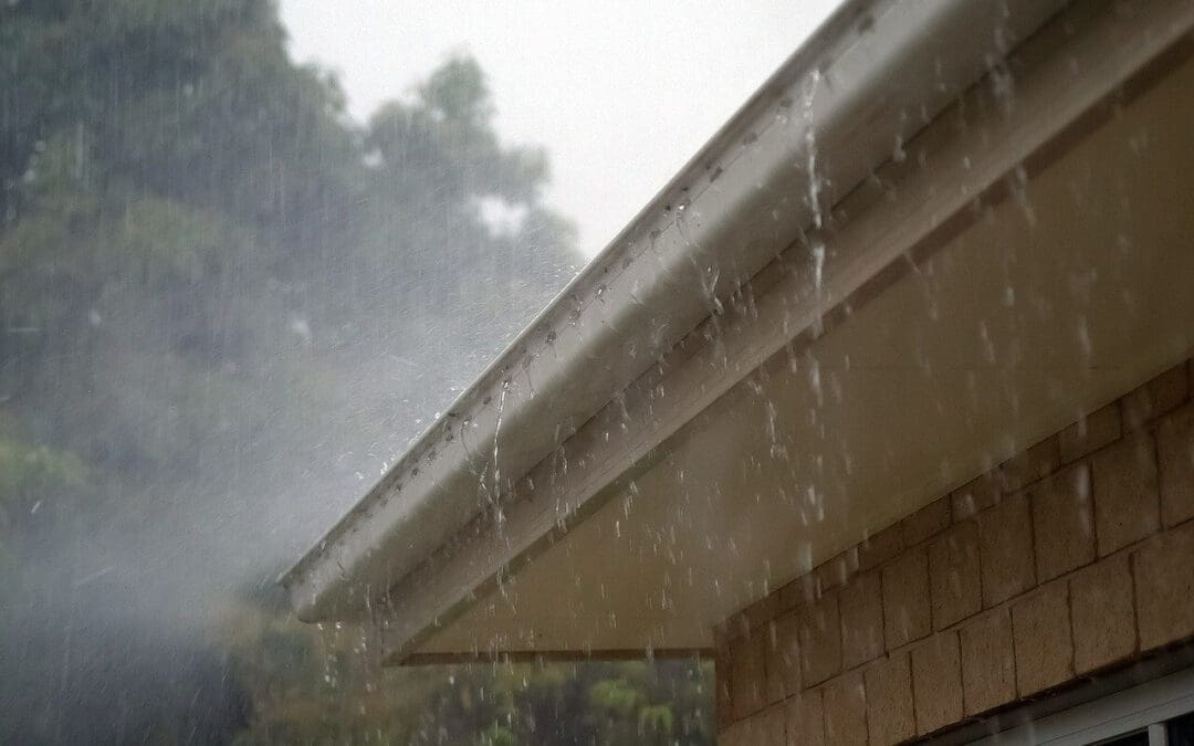 Improve Drainage: Effective Ways to Protect Your Property from Water Issues