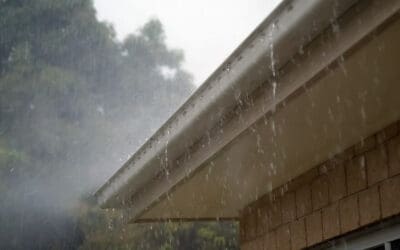 Improve Drainage: Effective Ways to Protect Your Property from Water Issues